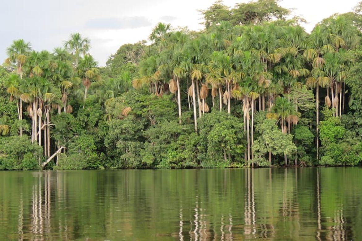 Preservação ambiental é causa a ser apoiada sempre